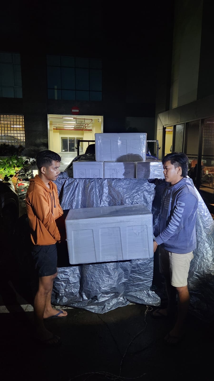 Penyelundupan 106.400 Benih Lobster Senilai Rp16 Miliar Berhasil Digagalkan Polda Sumsel