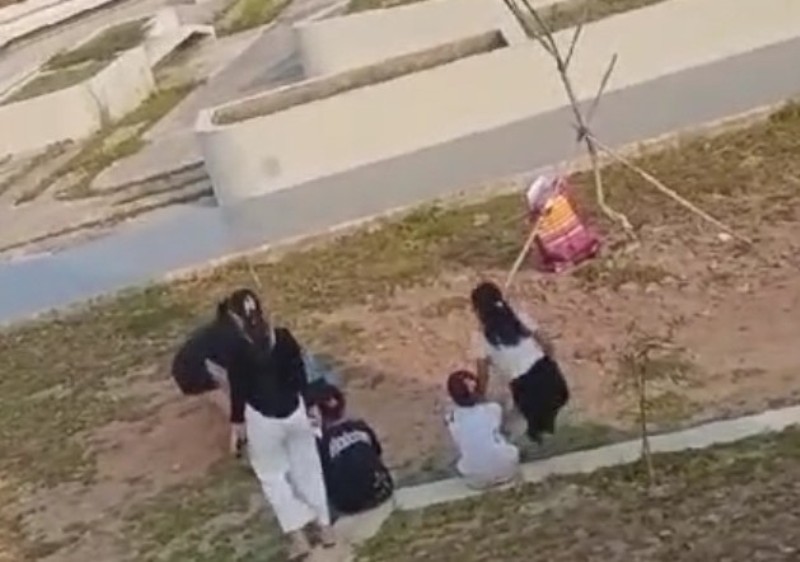 Viral Video Pertengkaran Fisik Antara Dua Gadis Remaja di Palembang, Begini Kata Netizen