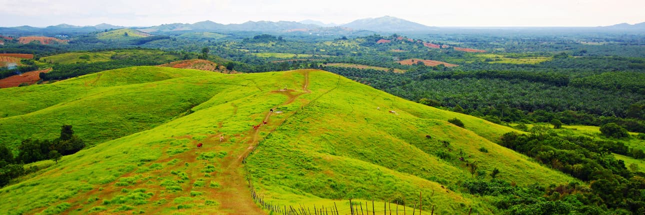 Bukit Rimpi, Bukit Teletubies Asli di Kalimantan Selatan yang Wajib Dikunjungi