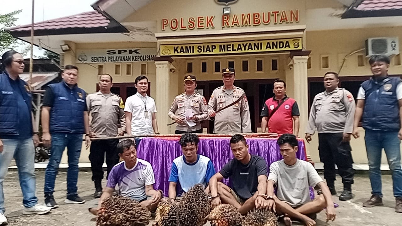 Niat Jual ke Pengepul, Empat Pencuri Sawit di Banyuasin Justru Masuk Jeruji Besi