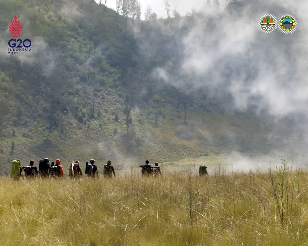 Fakta-Fakta Temuan Ladang Ganja di Bromo, Motif Pelaku hingga Satu Orang Masih Buron