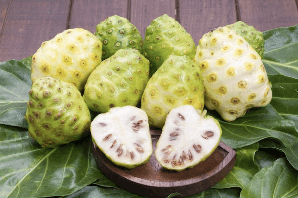 Rahasia Alam untuk Hipertensi, Cara Mudah Olah Mengkudu untuk Tekan Darah Tinggi