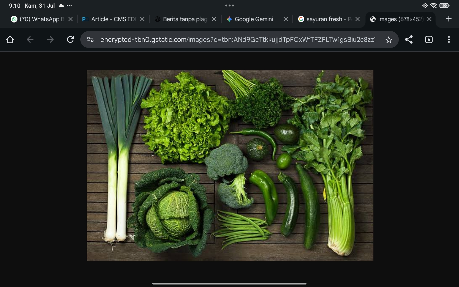 Manfaat Sayur Hijau untuk Kesehatan: Lengkap, Ilmiah, dan Cocok untuk Optimasi SEO