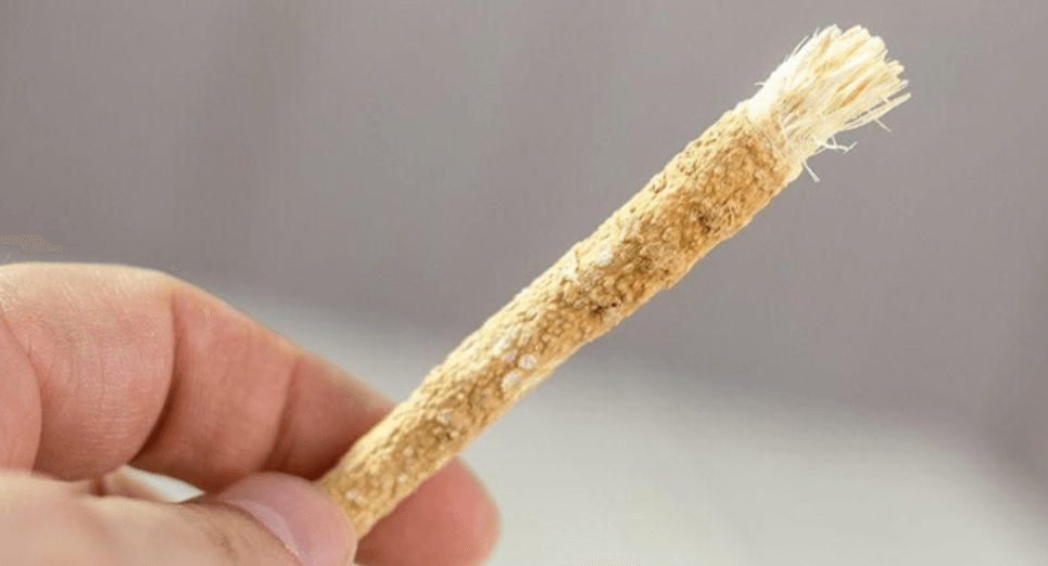 Mengapa Siwak Dianjurkan Rasulullah? Ini Manfaat dan Cara Pakainya