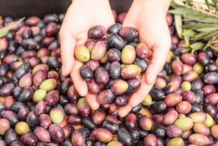 Tarif Nol Persen AS, Angin Segar bagi Keberlangsungan Industri Sawit di Sumatera Selatan