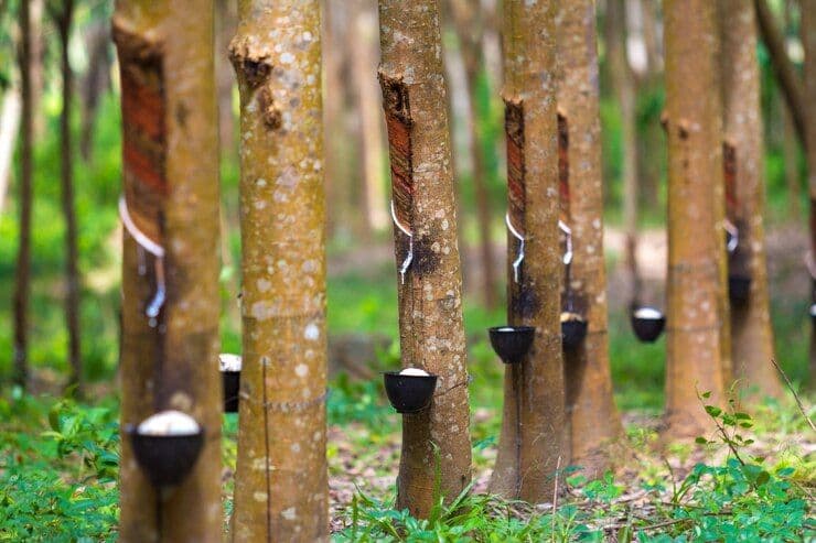 Lolos dari Tarif 19 Persen, Ekspor Karet Sumsel Tetap Aman ke Amerika